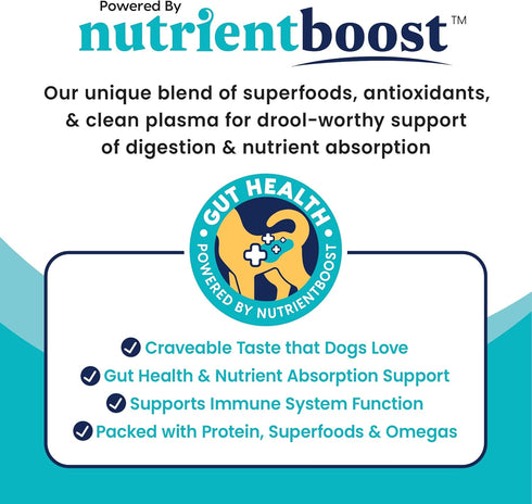 Solid Gold Air Dried Dog Food Toppers for Picky Eaters, Healthy Treats Made with Real Beef, 4 oz