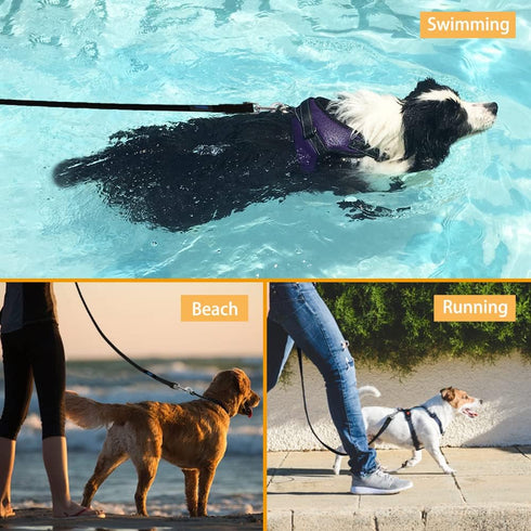 Vivifying Waterproof Dog Leash - 20FT Black Durable PVC Coated Long Leash with Soft Handle for Outdoor Use