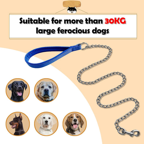 Metal Dog Leash and Collar Set, 4FT Chew Proof Heavy Duty Leash with Soft Padded Handle for Medium Large Dogs