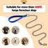 Metal Dog Leash and Collar Set, 4FT Chew Proof Heavy Duty Leash with Soft Padded Handle for Medium Large Dogs