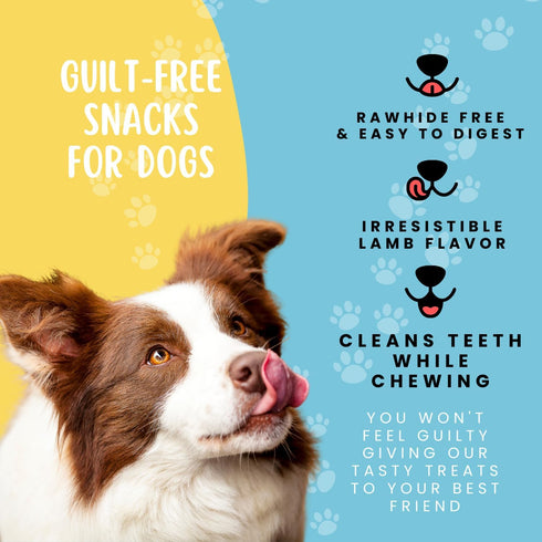Hotspot Pets Premium Lamb Lung Dog Treats - 1lb Big Bag, All-Natural, High Protein, Made in USA
