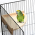 6 (7.1 7.1 Inch,Platform) Wettarn Pcs Bird Perch Platform Bird Corner Parrot Perch Corner Wooden Stand Sector
