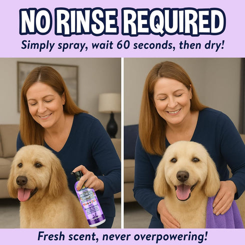 (17 Oz) Bodhi Dog Waterless Shampoo - No Rinse Dry Shampoo for Dogs & Cats - Naturally Neutralizes Pet Smelly Odor