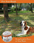 Long Rope Leash for Dog Training, 10FT 16FT 30FT 50FT 100FT, Reflective Check Cord for Large Medium Small Dogs
