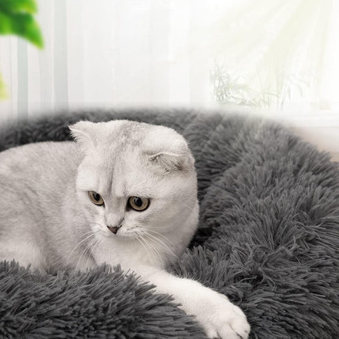 Nisrada Cat Beds for Indoor Cats, 15.7 Inch Dog Bed for Small Medium Large Dogs, Washable Round Pet Bed