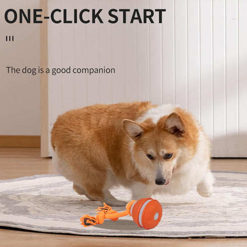 NIHUIFA Automatic Bouncing Toy with Interactive Sound Chew Resistant ABS for Indoor Outdoor Puppy Play