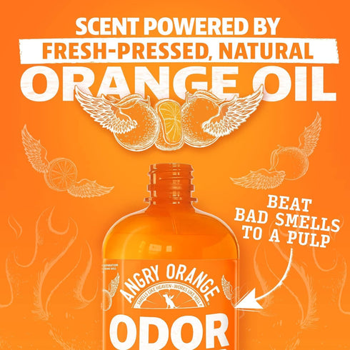 24 oz ANGRY ORANGE Pet Odor Eliminator for Dog and Cat Urine, Carpet Stains, and Strong Smells Citrus Cleaner