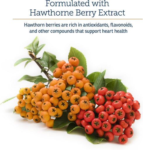 Rx Vitamins Formula CV, Hawthorn Berry Capsules with Taurine for Dogs & Cats - Heart Health Supplements - 90ct