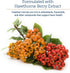 Rx Vitamins Formula CV, Hawthorn Berry Capsules with Taurine for Dogs & Cats - Heart Health Supplements - 90ct