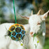 Besimple 2 Pack Horse Treat Ball Hay Feeder Toy, Goat Feeder Ball Hanging Feeding Toy for Horse Goat Sheep Relieve