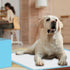 Extra Large Puppy Pee Pads for Dogs 32"x36" 60 Count, Leak-Proof & Super Absorbent Disposable Potty Pads