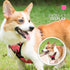 PoyPet No Pull Dog Harness, Reflective Adjustable No Choke Vest with Front & Back Leash Attachments for Small Medium