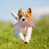 GOOLA Durable Plush Squeaky Dog Toys with Crinkle Paper, Unicorn Themed Pack for Puppies to Large Dogs