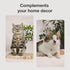 Necoichi Cardboard Cat Scratcher Bed for Indoor Cats, 16" Regular Size, a.Oak Lounge Design