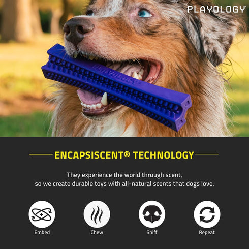 Playology Silver Dental Chew Stick Dog Toy for Medium Senior Dogs (15-35lbs) - All-Natural Pork Scented