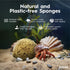 Natural Hermit Crab Sponges, 5 Pack Unbleached Sea Sponge for Water Drinking Safety and Humidity Balance