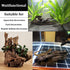 PINVNBY Large Natural Driftwood for Aquarium Decor, 6 PCS Assorted Sinkable Reptile Wood Branches
