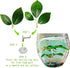 Fish Leaf Pad Fish Tank Accessories, 3 pcs Adjustable Plastic Plants for Betta Natural Habitat with Suction Cup