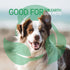 Green Groom Odor Eliminator Dog Shampoo - 1 Gallon, All Natural Ingredients, Powerful Deodorizing Formula