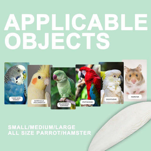 Natural Cuttlebone for Birds with Holder for Bird Cage - 2PCS (3.9-4.5", Parakeets, Canaries, Cockatiels)