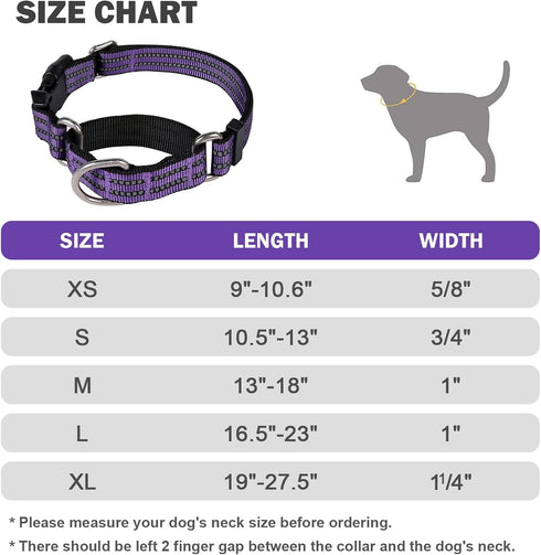 Reflective Nylon Martingale Collar for Dogs, Adjustable Quick Release No Slip Training Collar (Medium, Purple)