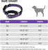 Reflective Nylon Martingale Collar for Dogs, Adjustable Quick Release No Slip Training Collar (Medium, Purple)