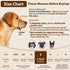 Crazy Felix Nylon Dog Muzzle for Small Medium Large Dogs, Air Mesh Breathable Pet Mouth Guard for Anti-Biting (S, Grey)