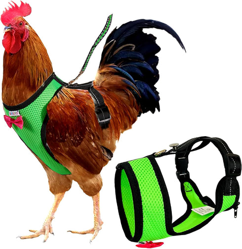 Chicken Harness Hen Size with 6-foot Matching Belt - Adjustable, Comfortable, Breathable, Small Size for Chicken, Duck