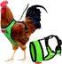 Chicken Harness Hen Size with 6-foot Matching Belt - Adjustable, Comfortable, Breathable, Small Size for Chicken, Duck
