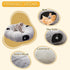 Cat Tunnel Bed for Indoor Cats - Cute Cat Donut Tunnel with Washable Circle Cushion, Round Pet Play Tunnel Toy
