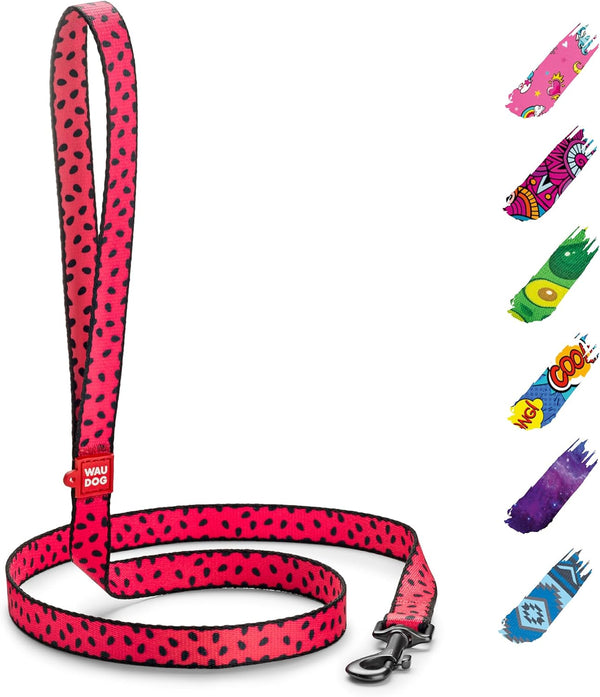 WAUDOG Nylon Dog Leash for Small and Medium Dogs, 4 Ft, Heavy Duty Dog Leashes for Large Breed Dogs & Puppy Leash