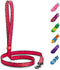 WAUDOG Nylon Dog Leash for Small and Medium Dogs, 4 Ft, Heavy Duty Dog Leashes for Large Breed Dogs & Puppy Leash