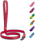 WAUDOG Nylon Dog Leash for Small and Medium Dogs, 4 Ft, Heavy Duty Dog Leashes for Large Breed Dogs & Puppy Leash