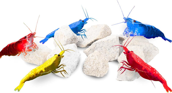 JOR Calcium Rocks for Shrimps, Isopods, Crayfish, Parrot and Snails, 100 Grams
