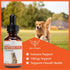 Natural Antibiotics for Dogs, Dog Ear Infection Treatment, Yeast Infection Relief, 1 oz