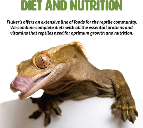 Nutrient-Packed, 1 Oz Fluker's Freeze Dried River Shrimp, Ideal for Lizards, Reptiles, Birds, Fish, Hedgehogs