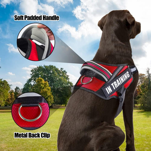 Service Dog Vest Harness and Leash Set, Animire in Training Dog Harness with 10 Patches, Reflective Leash with Soft