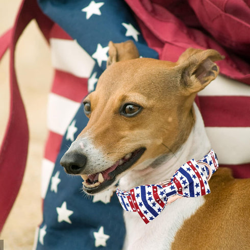 Independence Day Dog Collar, Elegant American Flag Bowtie Adjustable Soft Puppy Collar for Large Dogs