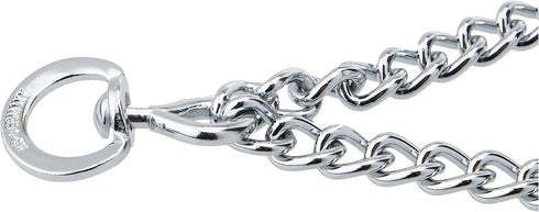 HS Sprenger Chrome Steel Dog Training Collar