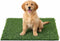 Green Label Products Artificial Grass Dog Potty Grass Pad Replacement (4-Pack) 20x25 Reusable Dog Grass