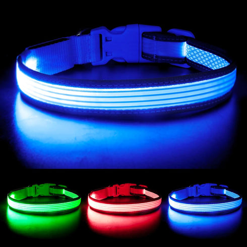 YFbrite Full Adjustable LED Dog Collar, Reflective Light Up Collar for All Dogs Safety (Medium, Blue-2)