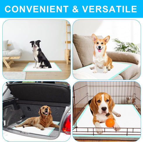GWT 40 Count Premium Dog Pee Pads - 28x34 Inch Ultra Absorbent, Leak-Proof Training Pads for Large Dogs