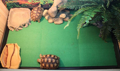 Tfwadmx Reptile Carpet Mat Bedding Liner for Terrarium, 39"X20", Suitable for Lizards, Snakes, and Turtles