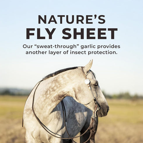 Redmond Daily Red Crushed Garlic Supplement for Horses