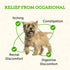 Animal Essentials Colon Rescue for Dogs & Cats, Herbal Laxative, 2 Fl Oz, Stool Softener