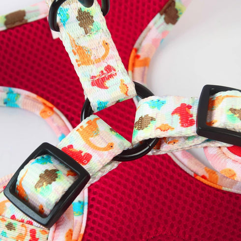 Dog Harness and Leash Set, Adjustable No Pull No Choke Puppy Harnesses for Walking Training