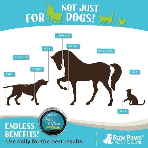 Raw Paws Paw Wax for Dogs & Nose Balm - 4-Ounce Value Size Paw Cream & Wax for Dry, Cracked Pads & Snouts