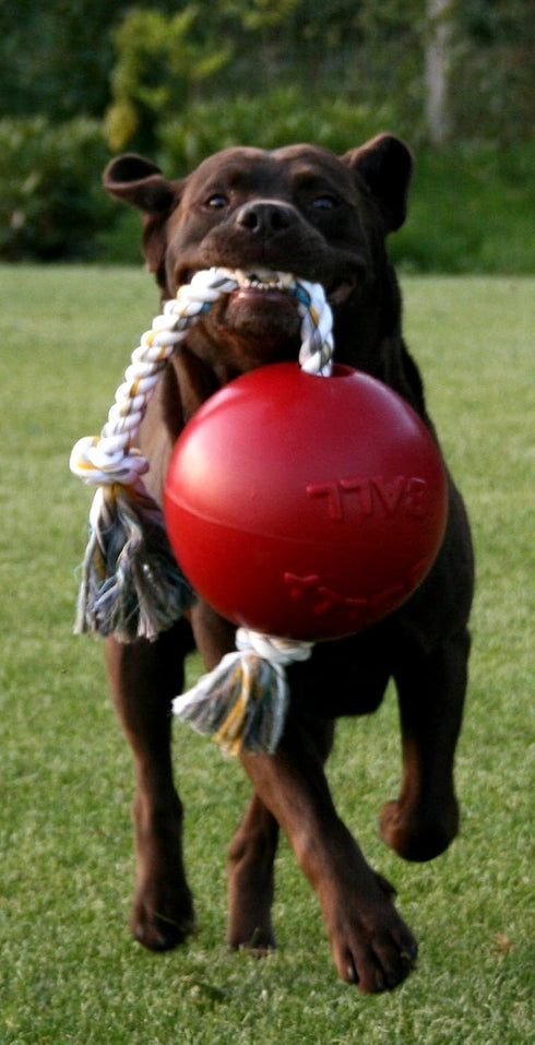 8 Inches/Large, Jolly Pets Romp-n-Roll Rope and Ball Dog Toy, Orange