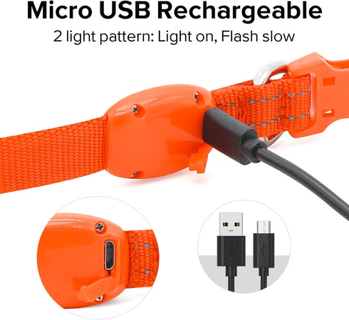Light Up Rechargeable LED Dog Collar, Reflective Puppy Collar Lights for Small Breeds Dogs or Cats (Orange, XS