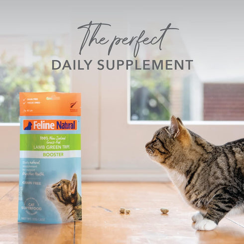Feline Natural Freeze Dried Lamb Green Tripe Cat Food Supplement - Grain-Free High Protein Topper